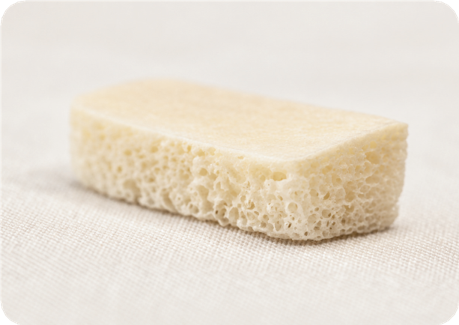 Strip Bone Block <span>(Cortico-Cancellous)</span>
