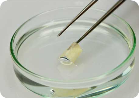 Pericardial Membrane