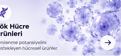 Kök hücre ürünleri